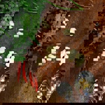 Le Caractère Chinois photo 1