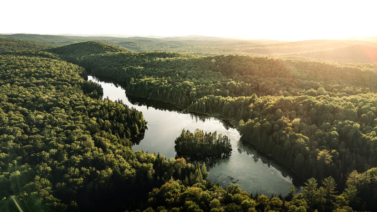 Espace Sous-Bois photo 1