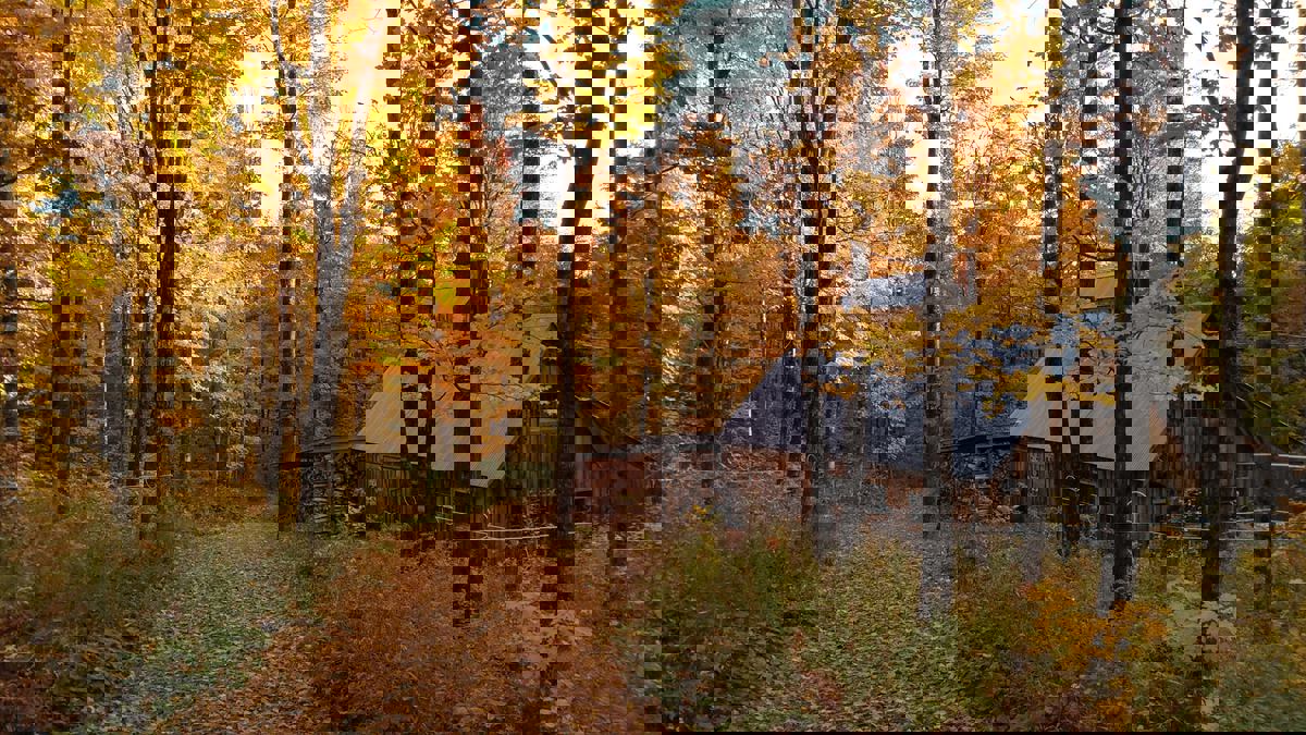 Little Charlie's Sugarbush photo 1