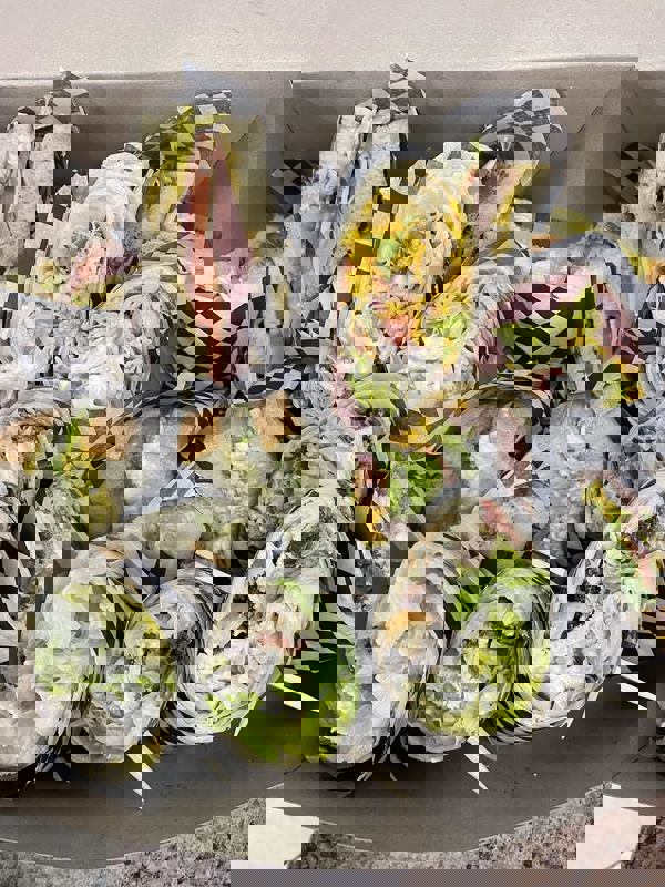 Liv n Gracie’s photo 1