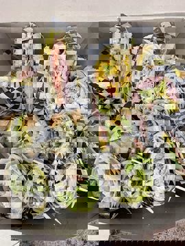 Liv n Gracie’s photo 1