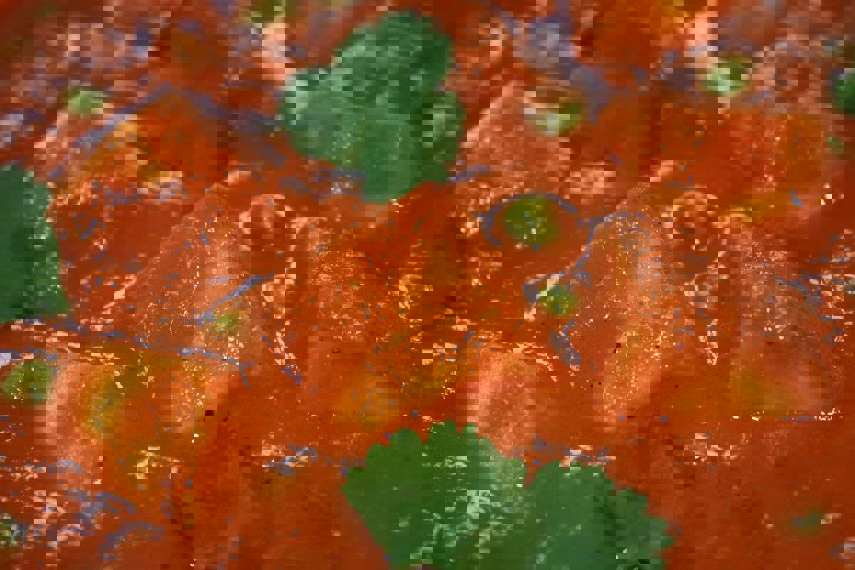 Makhani Catering photo 1