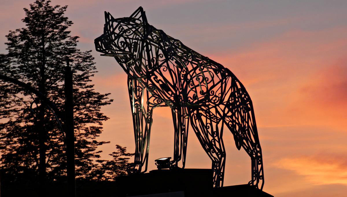 Saucisses & Complices photo 1