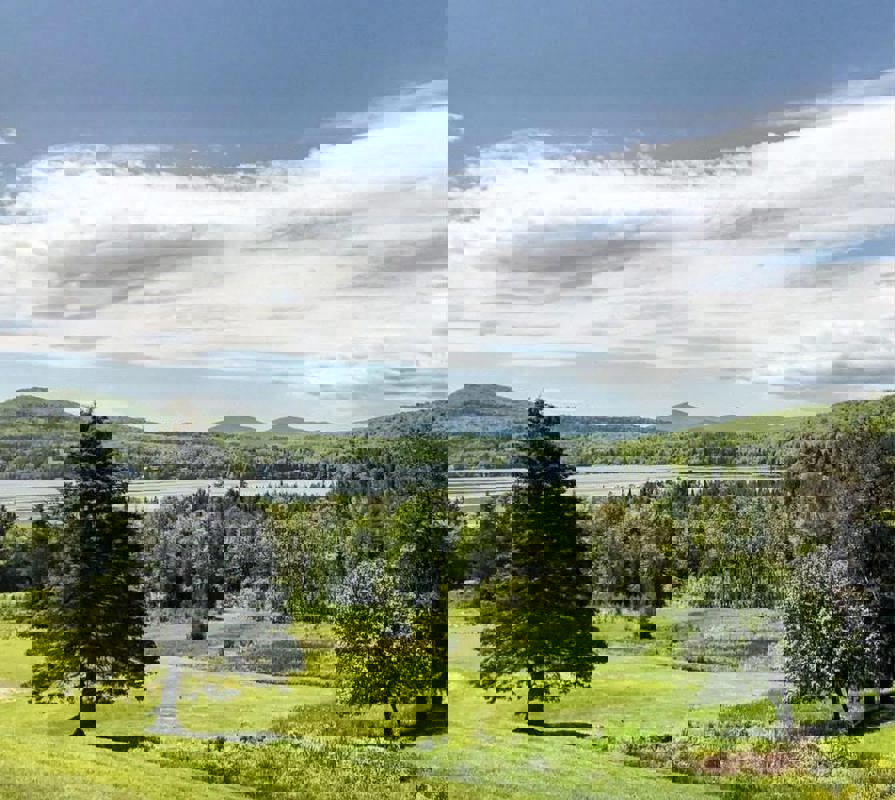 The Morgan Country Store photo 1