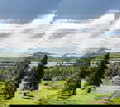 The Morgan Country Store photo 1