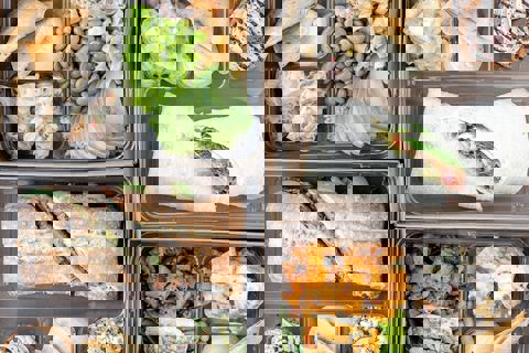 Nourcy original 1977 photo 1