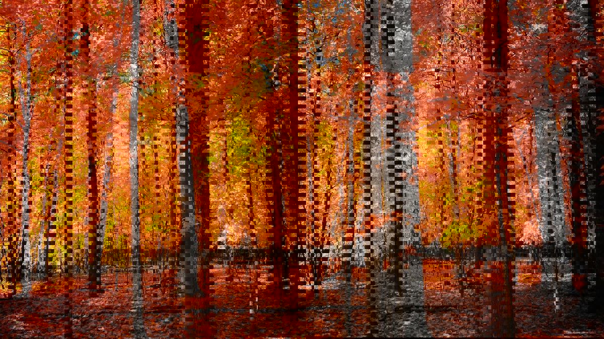 Produits Loumar photo 1