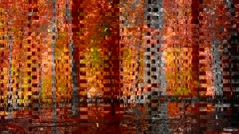 Produits Loumar photo 1