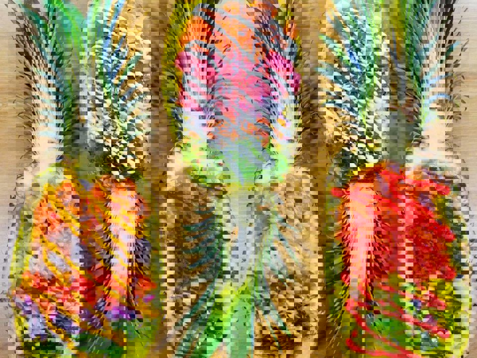 Poke Express photo 1