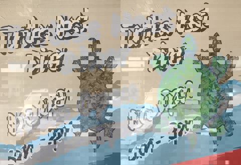 Turtle Nest Diner and Pizzeria photo 1