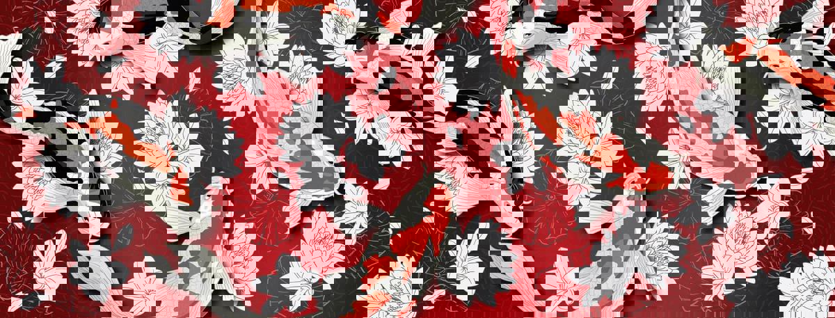 Shushuto Bar à Ramen + Tapas photo 1