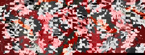 Shushuto Bar à Ramen + Tapas photo 1