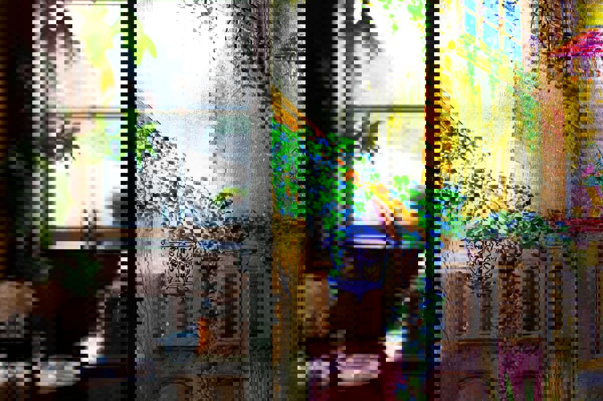 La Sauvagine photo 1