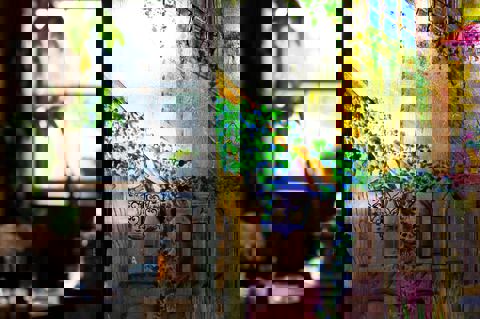 La Sauvagine photo 1