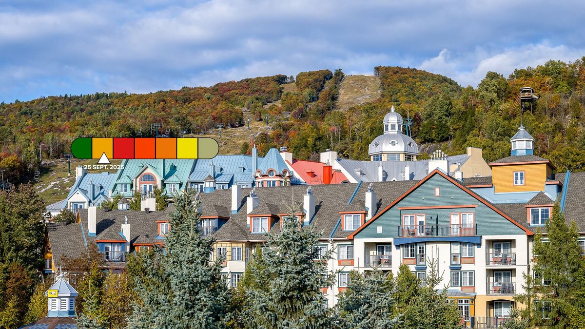 Le Grand Manitou photo 1