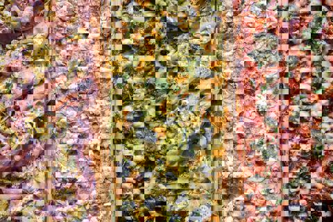 Morso Pizzeria (Viger - Square-Victoria) photo 1