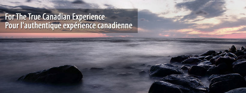 B&B Pinorama photo 1