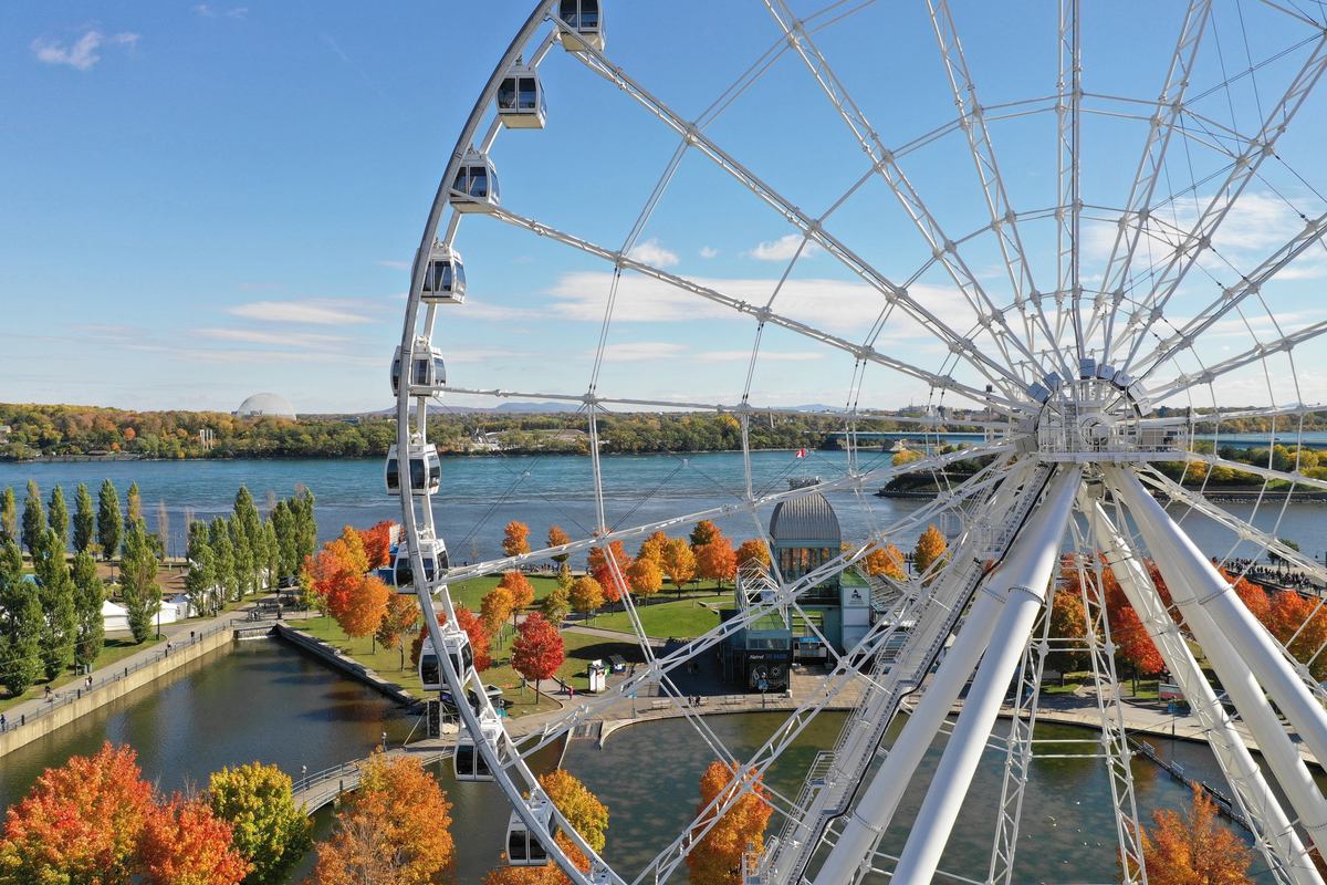Bistro de la Grande Roue photo 1