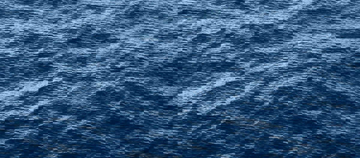 Le Bateau-Mouche au Vieux-Port de Montréal photo 1