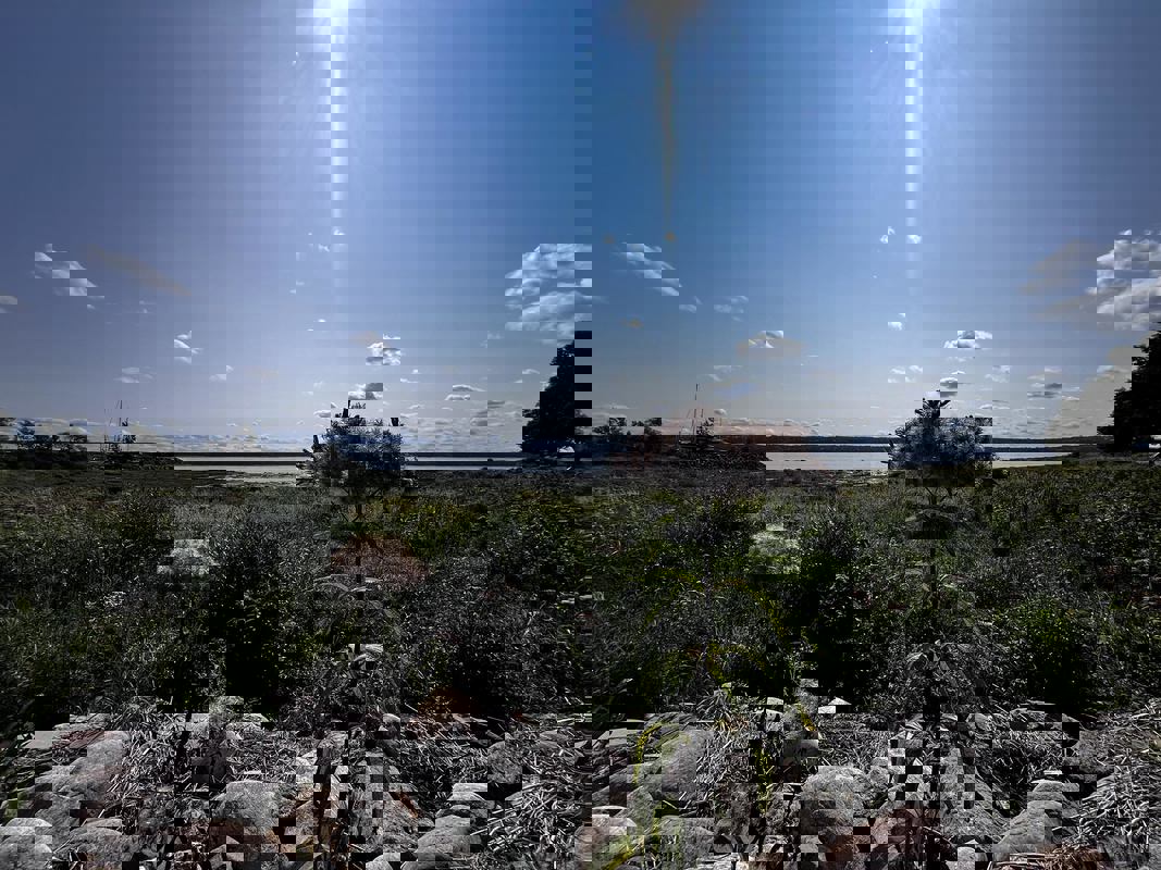 Confiturerie Tigidou | Tigidou Jam Factory photo 1