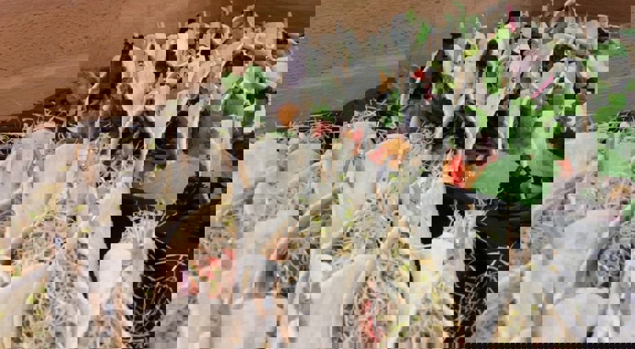 Buffet du chef photo 1