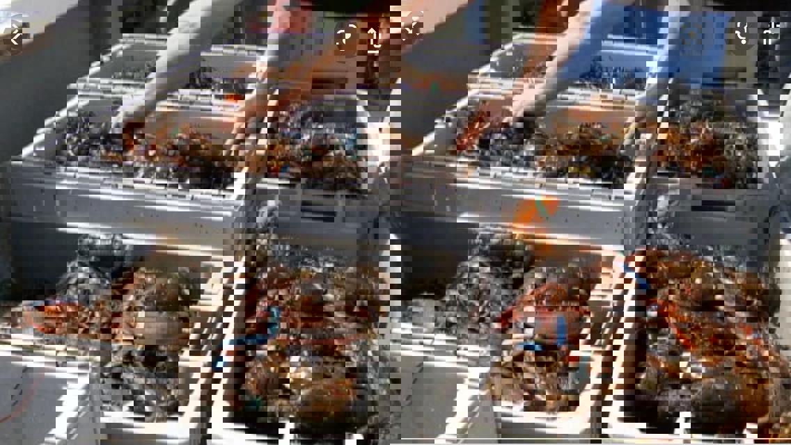 L'Artisan de la mer photo 1