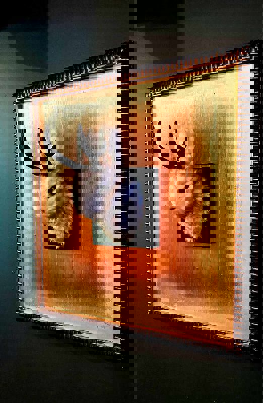 Cabaret de Curiosités photo 1