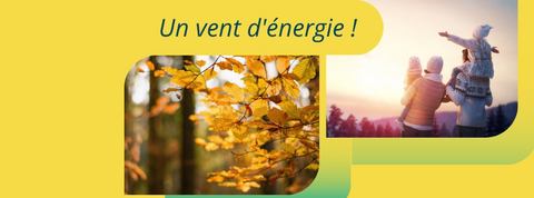 Resto-Bar Sportif Coffrage LD photo 1