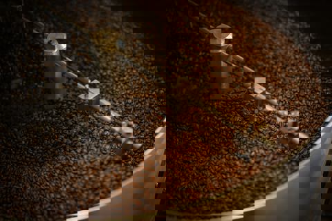 Maison Du Café Happy Goat Coffee Company (Canevas) photo 1