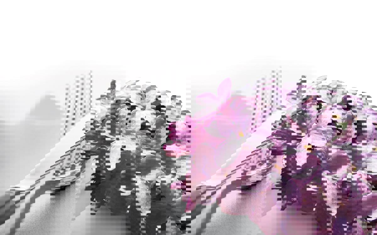 Closerie Des Lilas photo 1