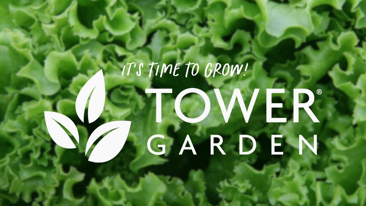 L'Or Vert Tour Jardin photo 1