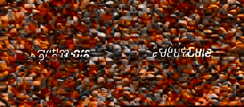 Carrera Café photo 1