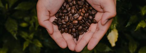 Bakecree Coffee photo 1