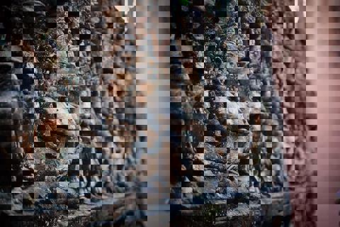 Restaurant Paradis D'Asie photo 1