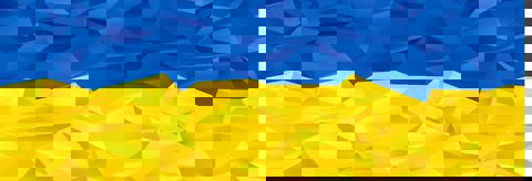 Kryïvka au Beaubien photo 1