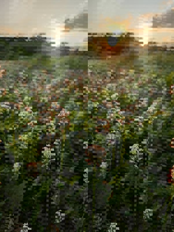 La Potagerie photo 1