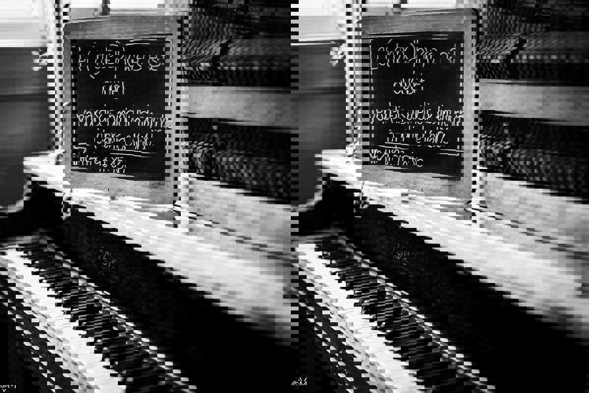 Le Crabe-Phare (La Buvette) photo 1