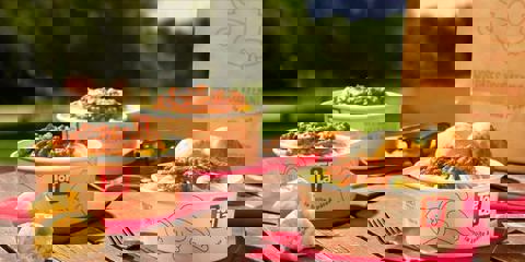 Topla! Sherbrooke Fleurimont photo 1