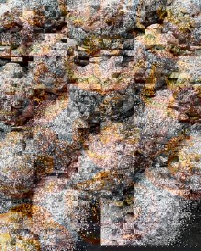 Café Dei Campi photo 1