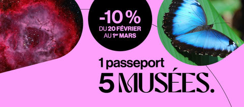 Restaurant Jardin Botanique photo 1