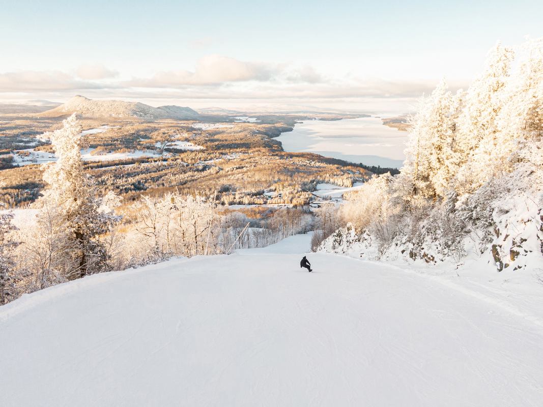 Le Hibou Resto-Bar photo 1