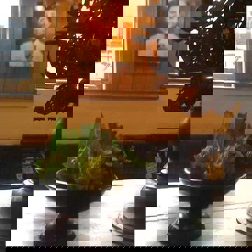 Café Titanic photo 1