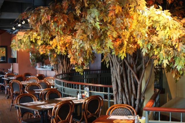 Alessa Trattoria photo 5