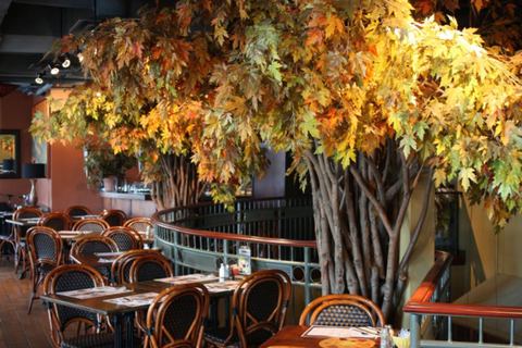 Alessa Trattoria photo 5