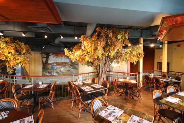 Alessa Trattoria photo 2