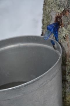 L'Érabliere du Village photo 2