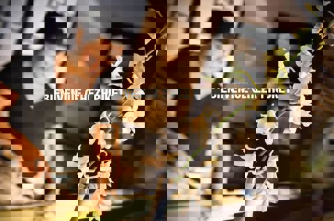 Restaurant Phuket photo 1