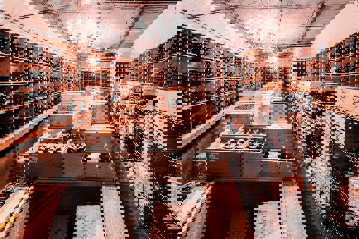 Michelangelo photo 1