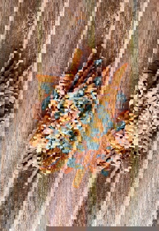 Cantine Le Rallye photo 1