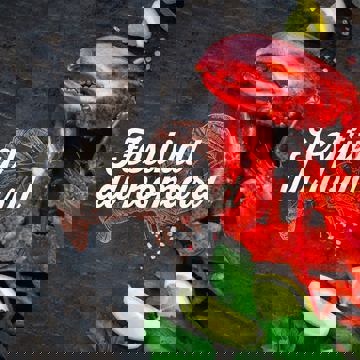 Restaurant Saint-Germain Resto-Bar photo 1